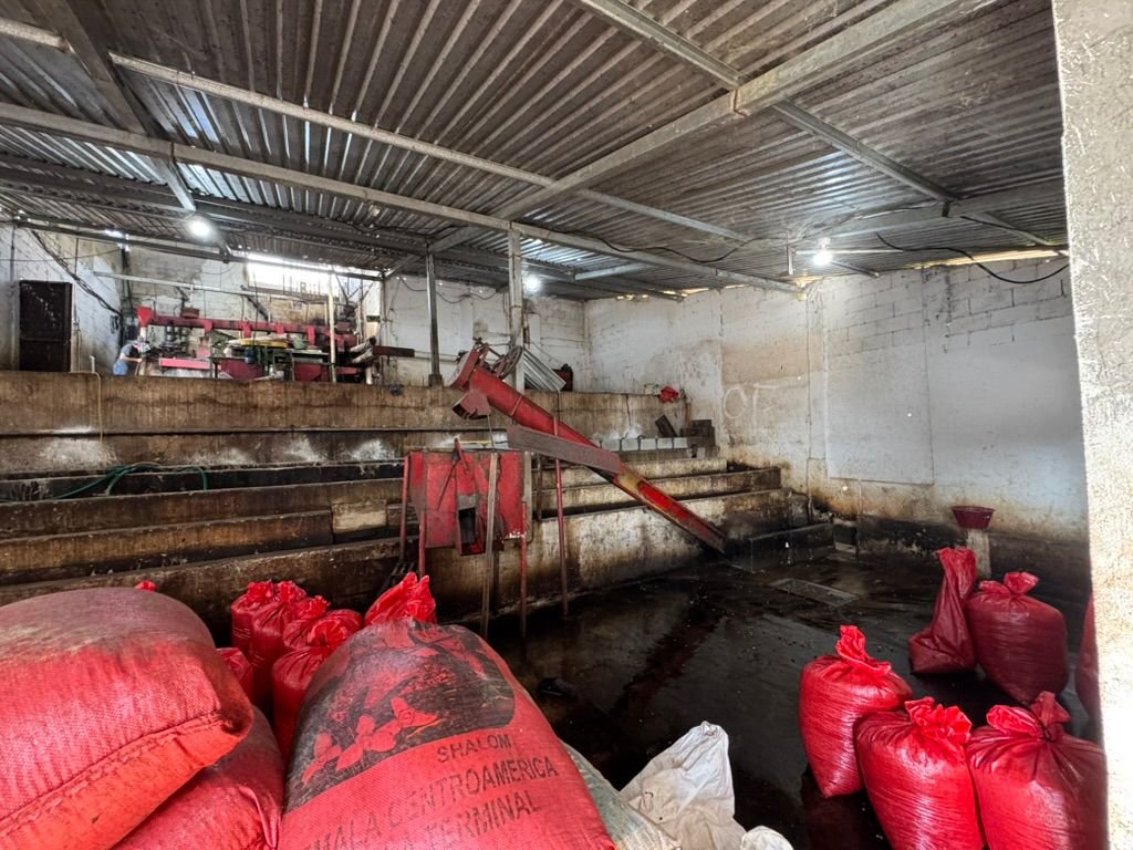 Instalaciones de beneficiado